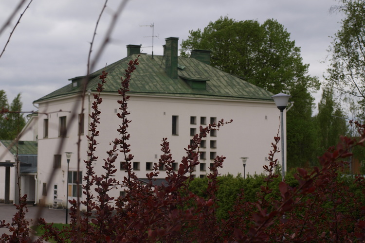Meijeri