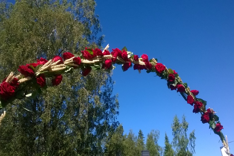 Ruusuportti